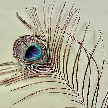 Anatoli Deluxe House דירה *